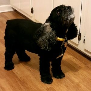 Meet your Posher, Kellie